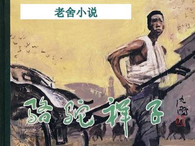 91版观看无需登录